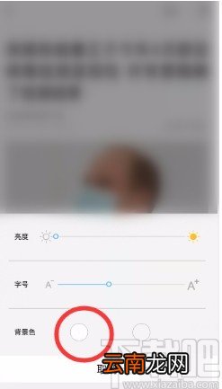 央视新闻APP设置页面背景色的方法