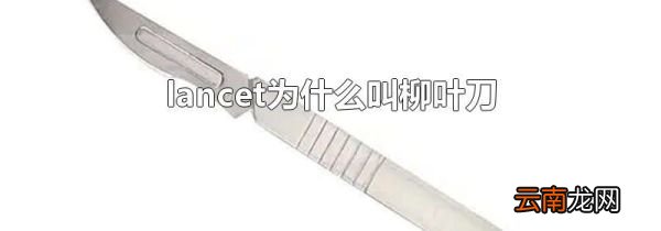 lancet为什么叫柳叶刀
