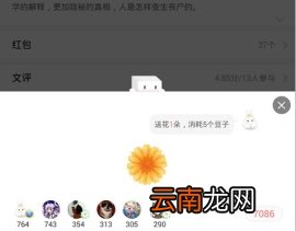 豆腐豆子的使用方法介绍