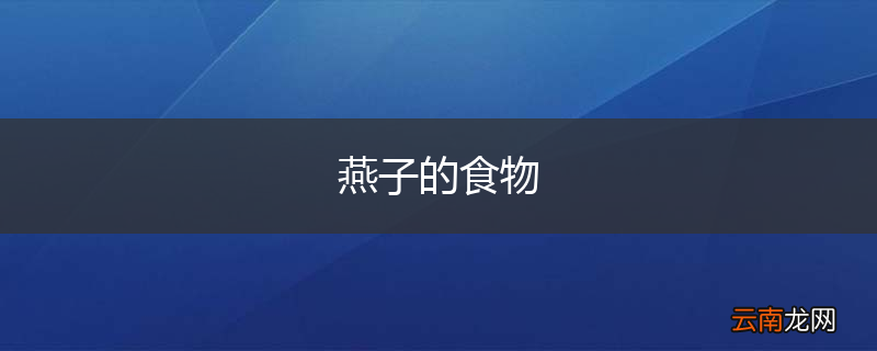 燕子的食物
