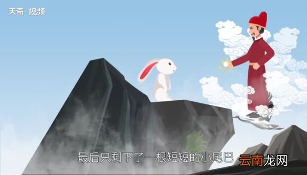 兔子尾巴歇后语 兔子尾巴歇后语是什么