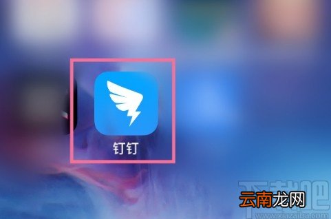 钉钉APP举报非法内容的操作步骤