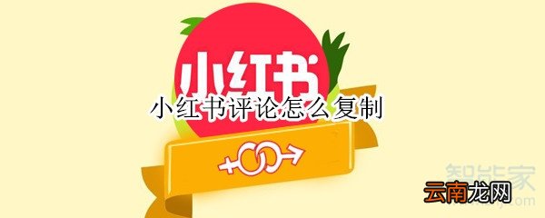 小红书评论怎么复制