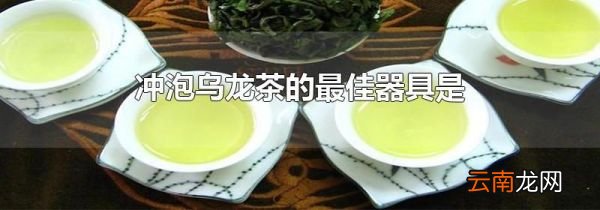 冲泡乌龙茶的最佳器具是