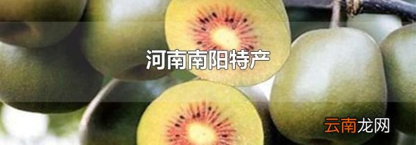 河南南阳特产