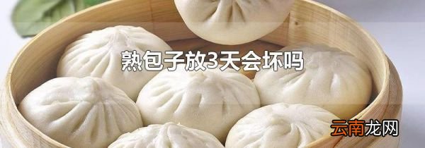 熟包子放3天会坏吗