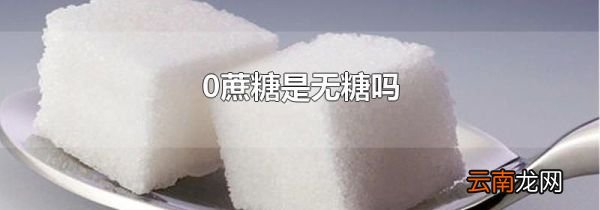 0蔗糖是无糖吗