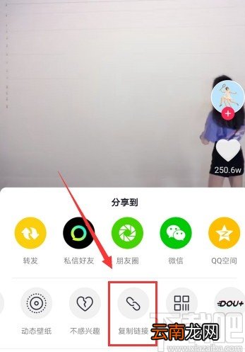 抖音短视频APP去除视频水印的方法
