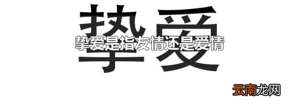 挚爱是指友情还是爱情