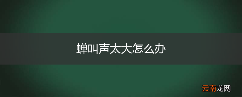 蝉叫声太大怎么办