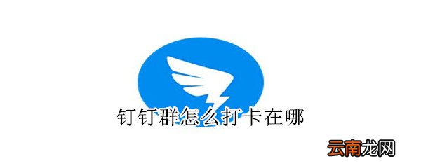 钉钉群怎么打卡在哪