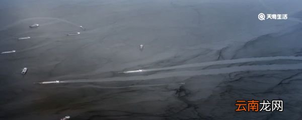水污染处理方法 水污染如何处理