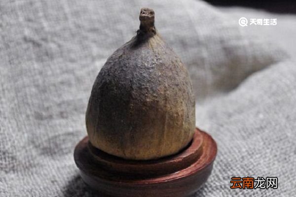 凉粉果的功效与作用 凉粉果主要有什么功效