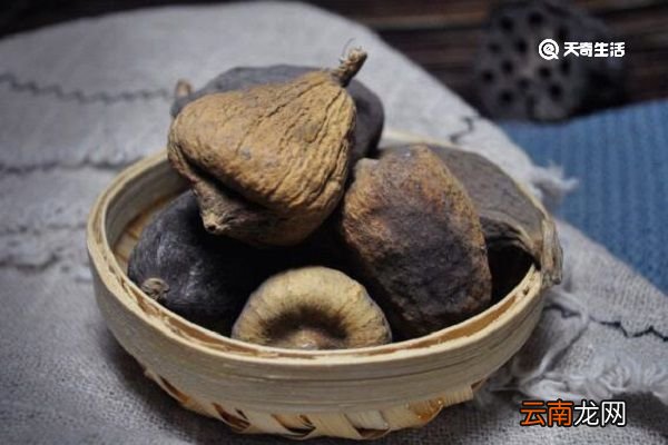 凉粉果的功效与作用 凉粉果主要有什么功效