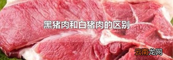 黑猪肉和白猪肉的区别