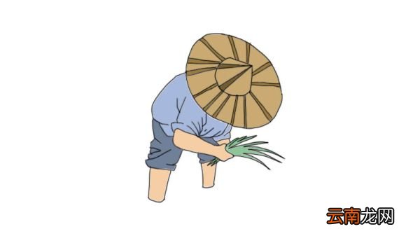 农名简笔画的步骤农名简笔画怎么画