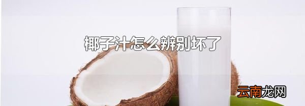 椰子汁怎么辨别坏了