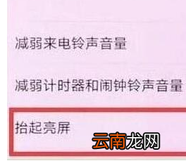 荣耀20pro设置抬手亮屏具体操作流程
