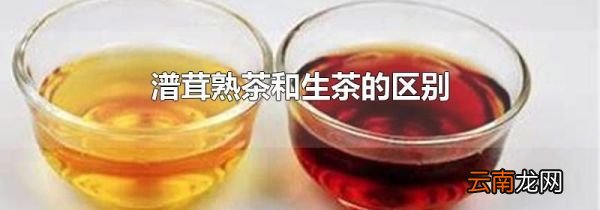 潽茸熟茶和生茶的区别