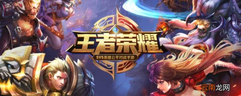 聚在团圆局是什么
