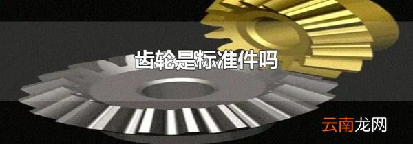 齿轮是标准件吗