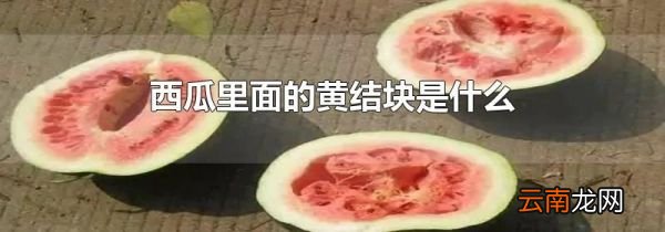 西瓜里面的黄结块是什么