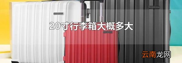 20寸行李箱大概多大