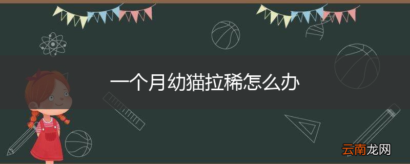 一个月幼猫拉稀怎么办