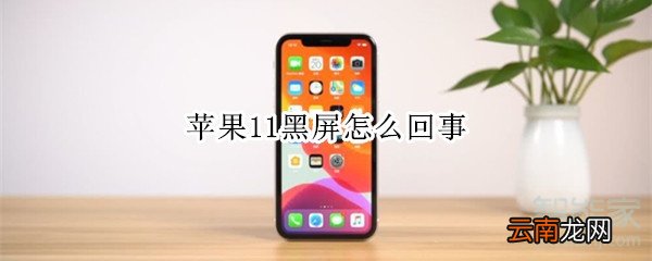 苹果11黑屏怎么回事
