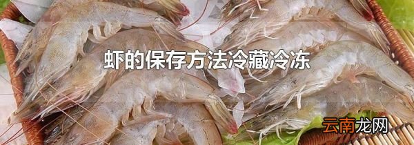 虾的保存方法冷藏冷冻