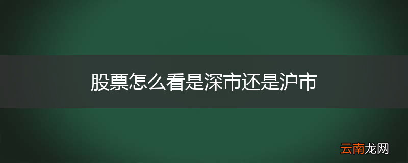 股票怎么看是深市还是沪市