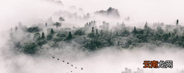 半梦半醒半浮生上一句 半梦半醒半浮生上一句是什么