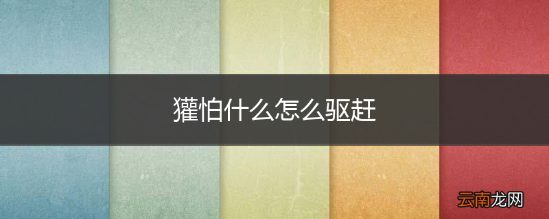 獾怕什么怎么驱赶