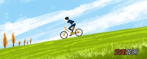平角裤平角裤是什么梗平角裤平角裤是指什么梗