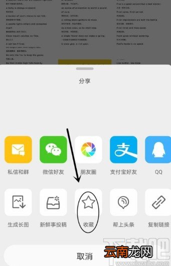 微博APP收藏别人微博内容的方法