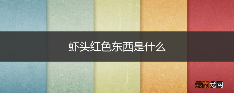 虾头红色东西是什么