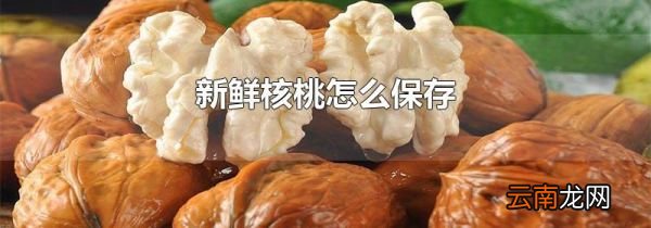 新鲜核桃怎么保存