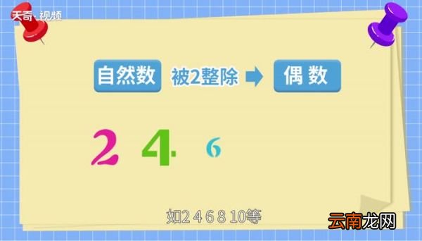 什么是偶数 偶数是什么意思
