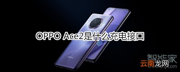 OPPO Ace2是什么充电接口