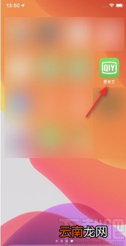 爱奇艺APP开启显示图片水印的方法