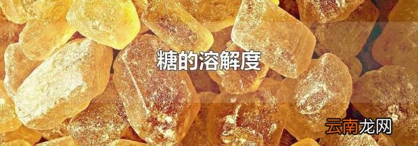 糖的溶解度