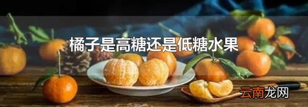 橘子是高糖还是低糖水果