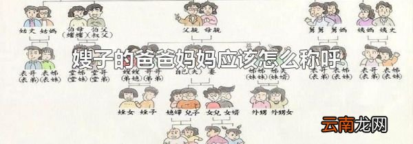 嫂子的爸爸妈妈应该怎么称呼