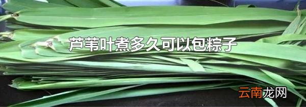 芦苇叶煮多久可以包粽子