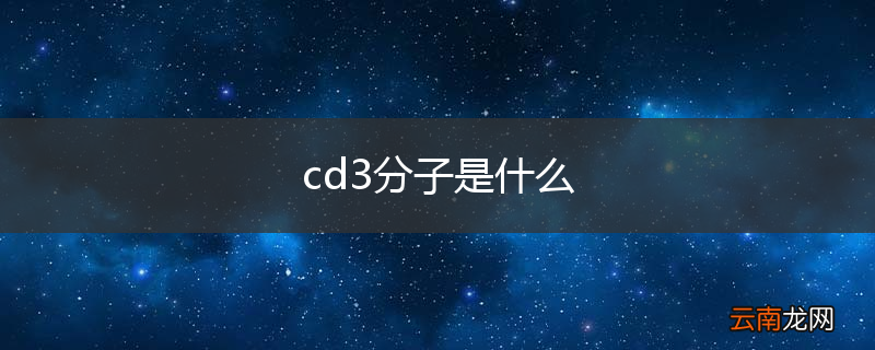 cd3分子是什么