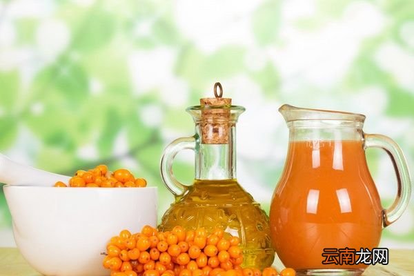沙棘汁的功效与作用 喝沙棘汁的好处