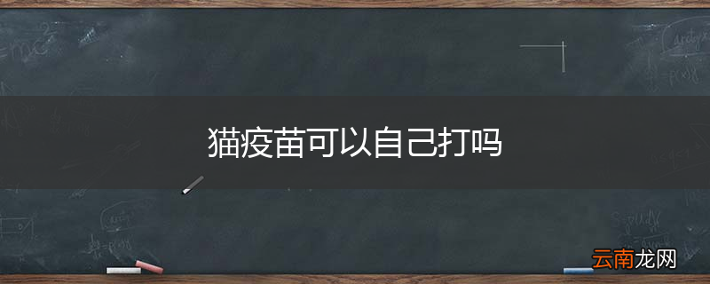 猫疫苗可以自己打吗
