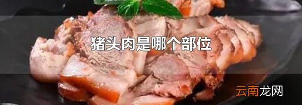 猪头肉是哪个部位