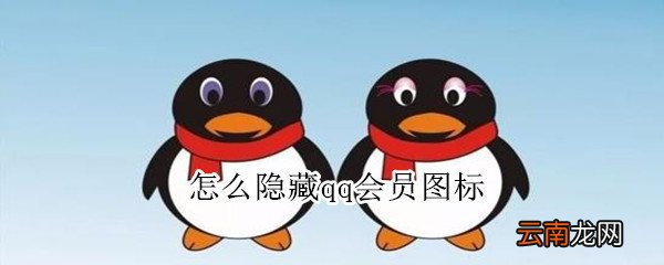 怎么隐藏qq会员图标