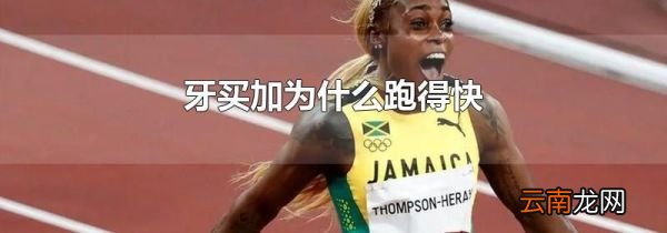 牙买加为什么跑得快